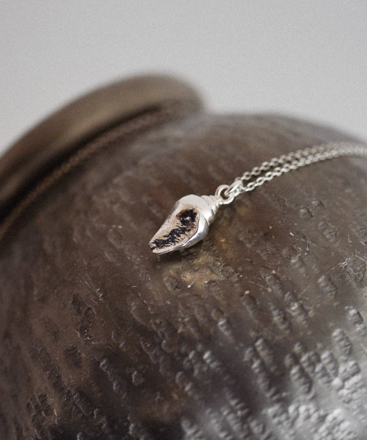 アクセサリー Llife VOLUTA SHELL NECKLACE LIDNM ONLINE STORE