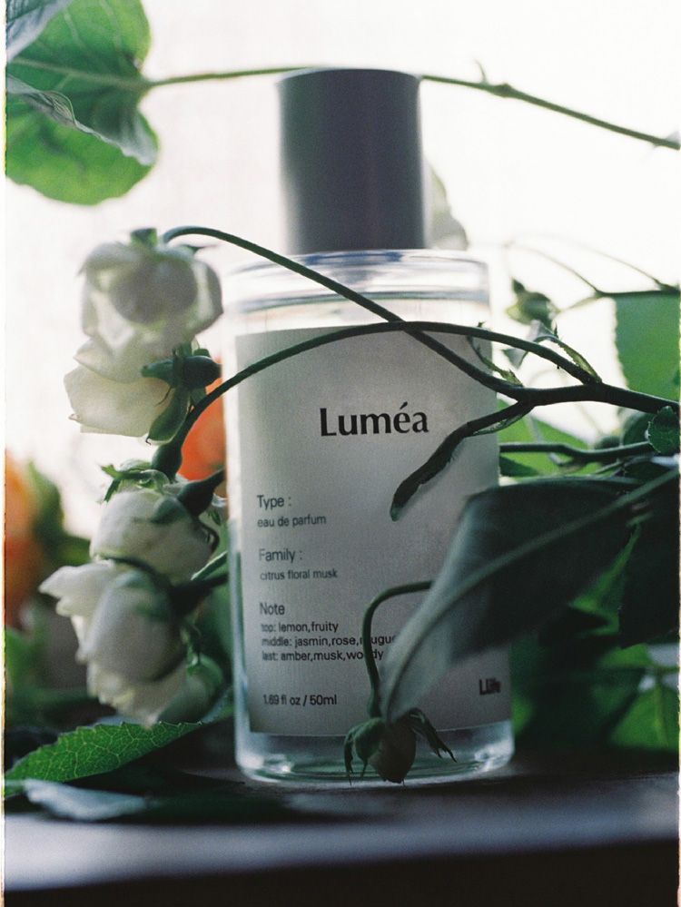 LIDNM / Llife ONLINE STORE / Llife Lumea