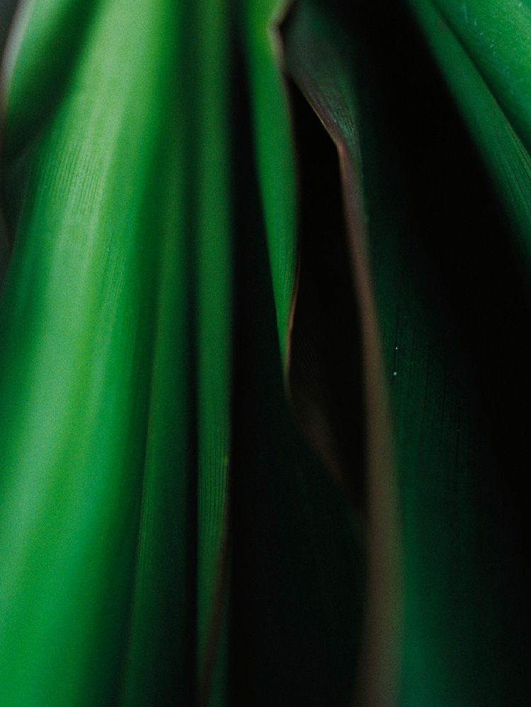 Llife  14KGP ANNEAUX BRACELET