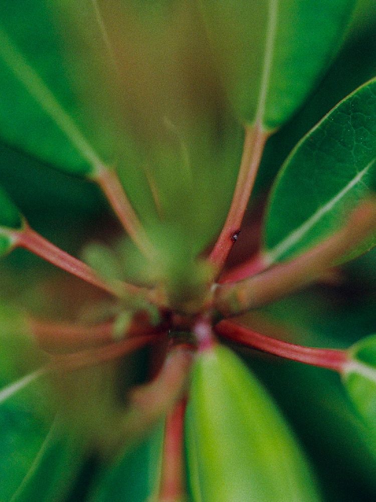 Llife ANNEAUX NECKLACE