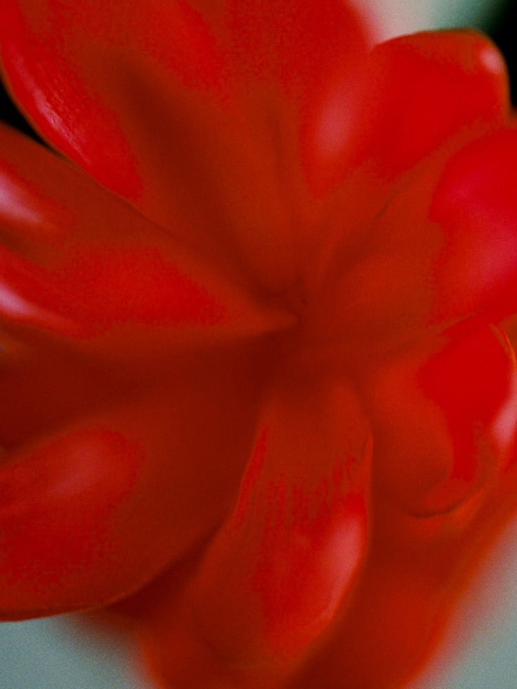 Llife 14KGP ONDULATION BANGLE