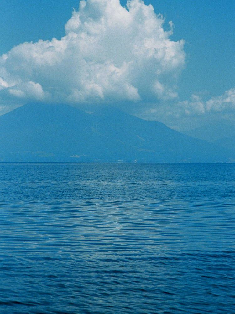 Goat Suede Tailored Jacket / 商品詳細ページ / LIDNM / Llife ONLINE