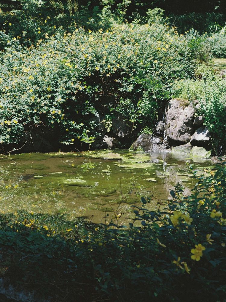 Wool Chalk Stripe Slacks / 商品詳細ページ / LIDNM / Llife ONLINE