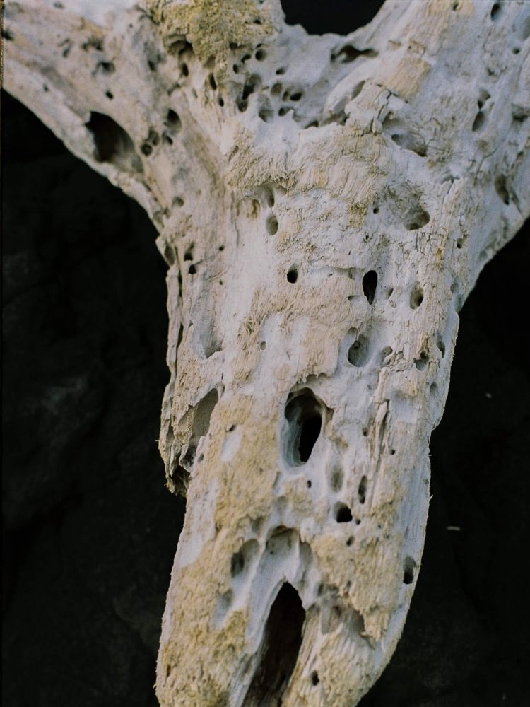 Llife LEATHER CHAIN WALLET CODE